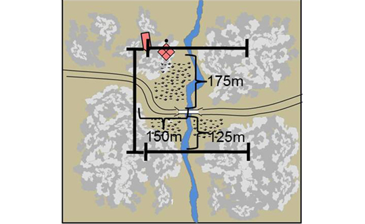 Slide 5