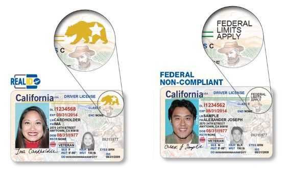Example ID Photo