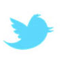 Twitter Logo