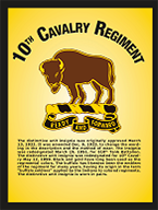  Insignia