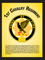 1st Cav Reg Insignia
