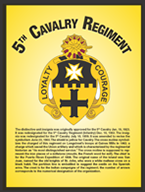  Insignia