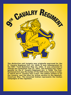  Insignia