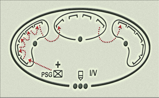 Slide 1