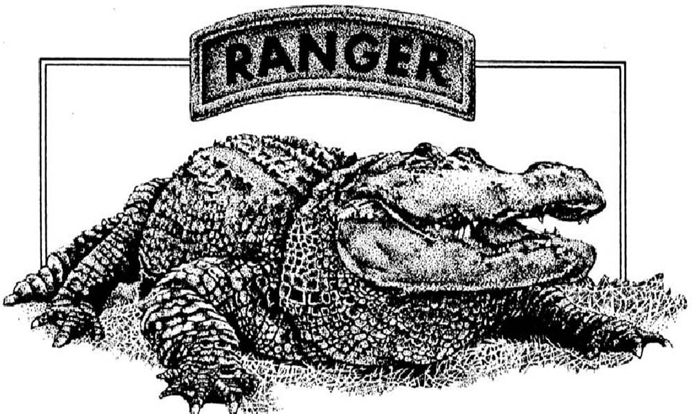 6th RTBn Gator